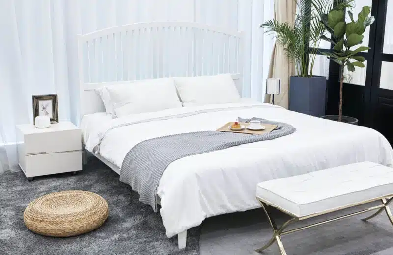 Comment éradiquer les punaises de lit chez soi avec efficacité ?
